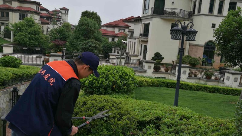 冬季公园绿化防冻水浇灌技巧解析**