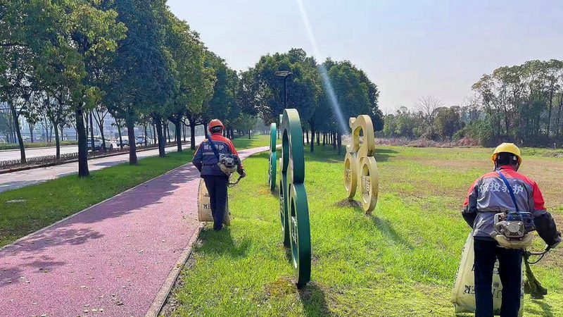 珍贵苗木品种：未来园林绿化的璀璨明珠**