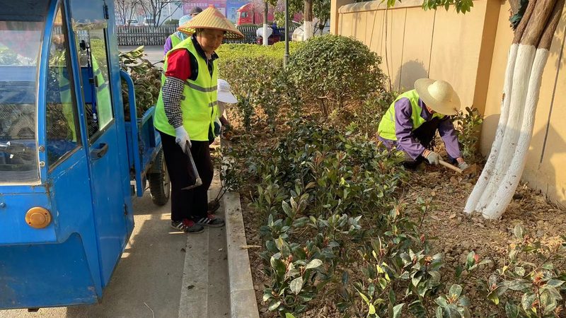 上海道路绿化工程报价清单：揭秘定价因素与合理预算