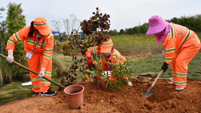上海边坡绿化设计方案：因地制宜，打造生态景观**