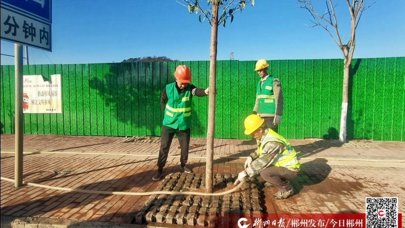 上海垂直绿化设计：打造城市立体绿意，提升城市生态品质**