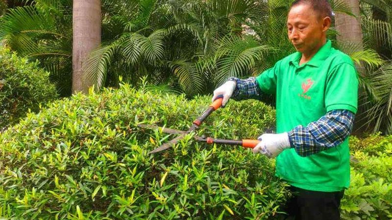 以下是根据以上标准，为您推荐的别墅庭院设计十大品牌公司：