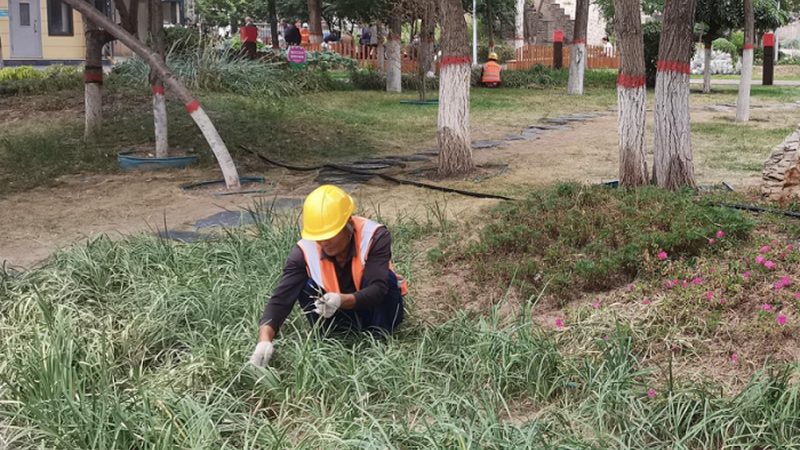 园林公司注册代办：揭秘小型园林公司注册全流程