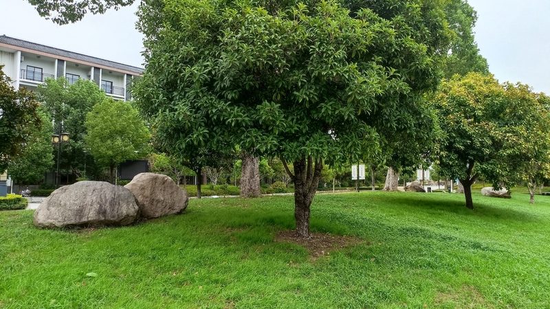 假山喷泉工程报价单：揭秘影响价格的关键因素**
