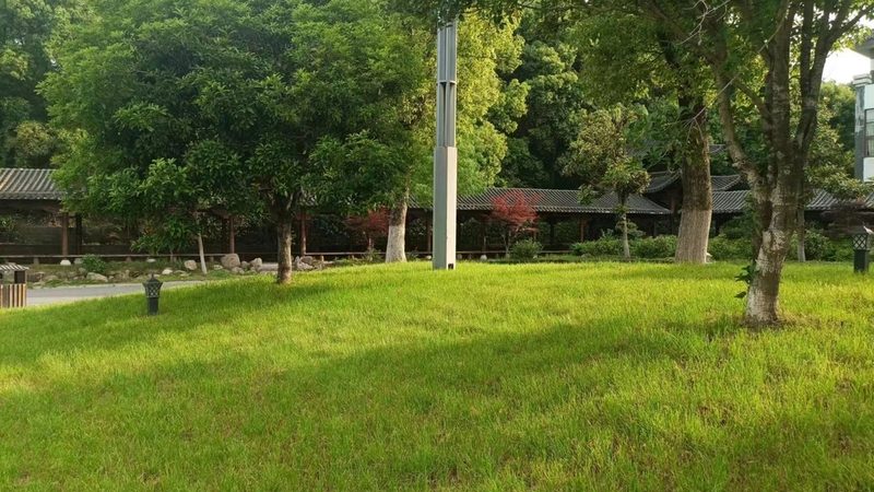 上海小型立体绿化安装：如何打造城市绿意新空间**